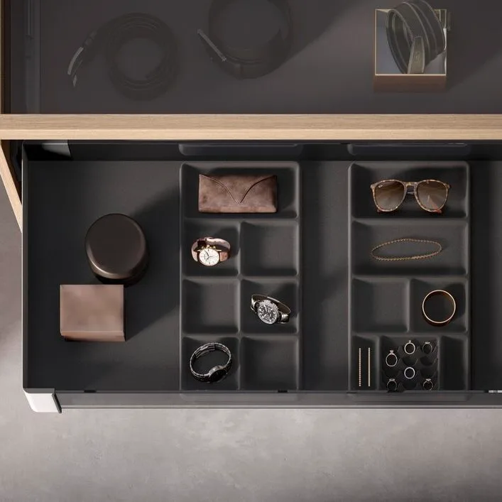 Walk-In Closet 2 Elite Closet - Flocked Jewelry Tray organization