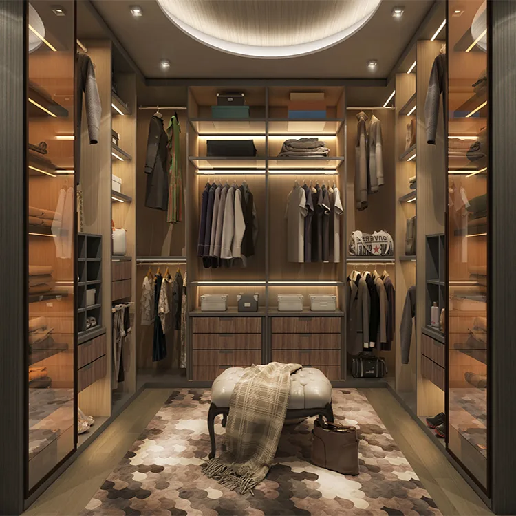 Elite system walk-in cabinets wardrobe organization glass doors led