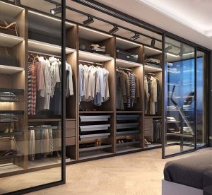 Elite system walk-in cabinets wardrobe organization above lighting