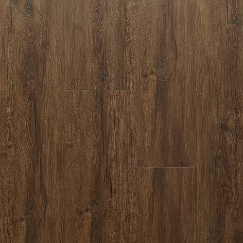 Forest Oak